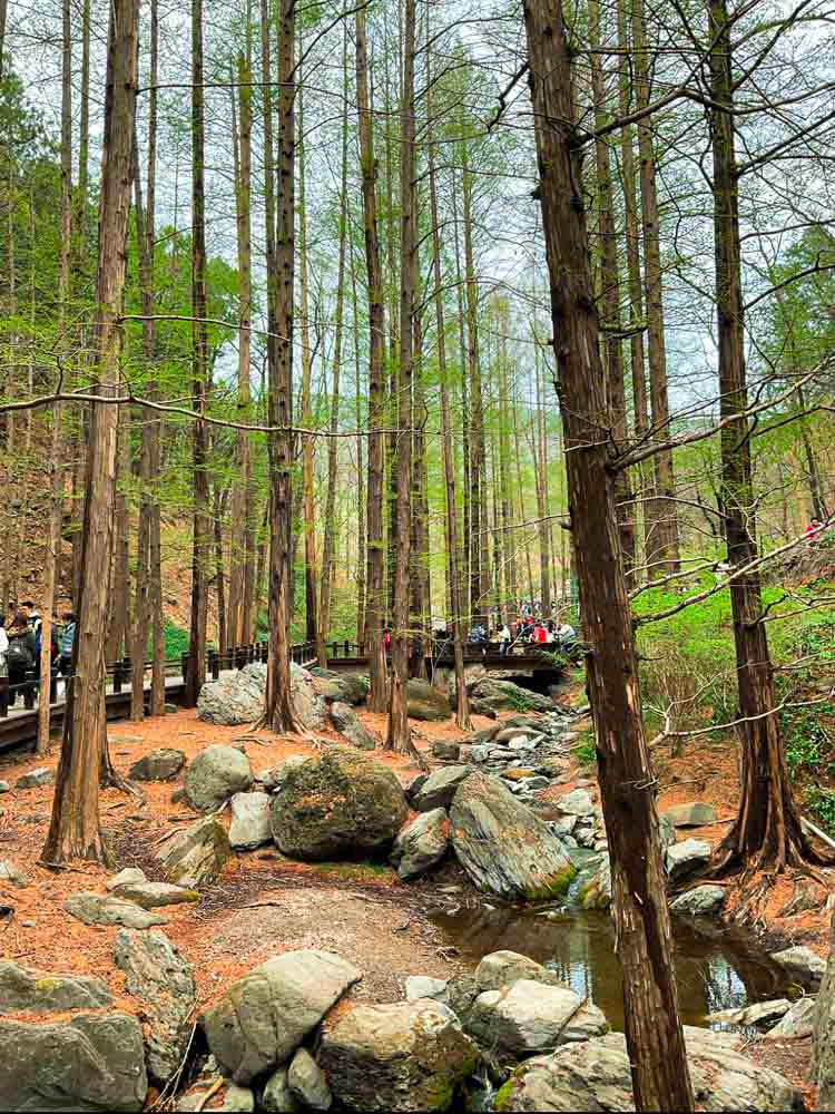 Beijing_Park_Article-7