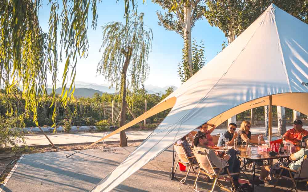 Book a Ningxia Wine Tasting Trip