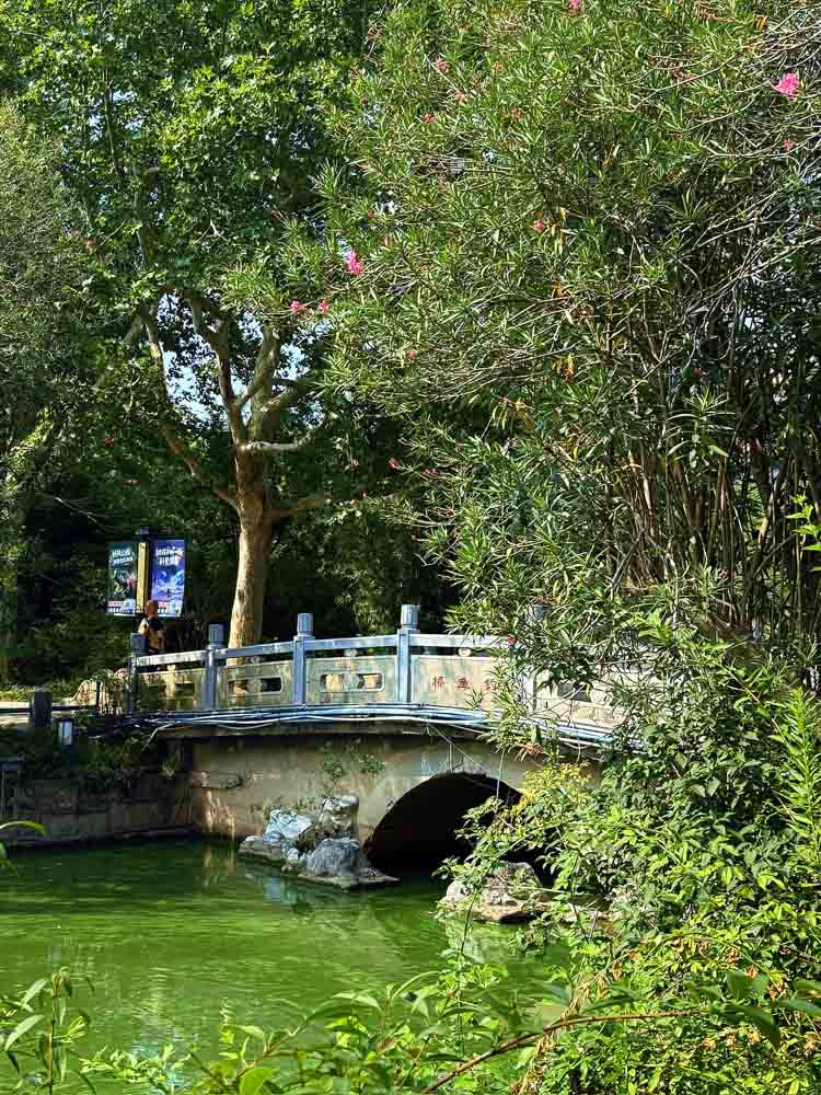 Shanghai_Park_Article-1