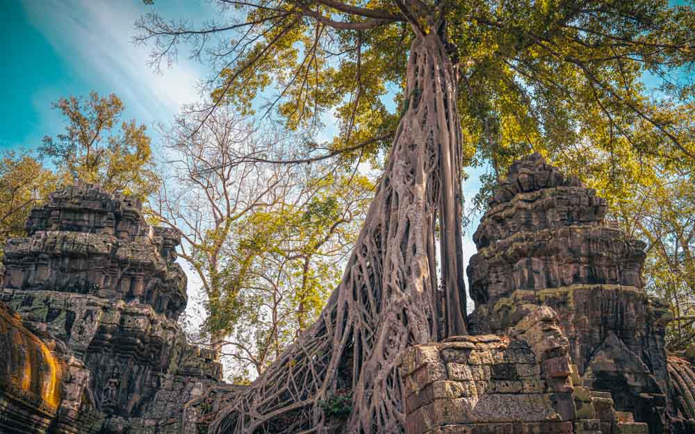 Siem Reap Full Day Tour