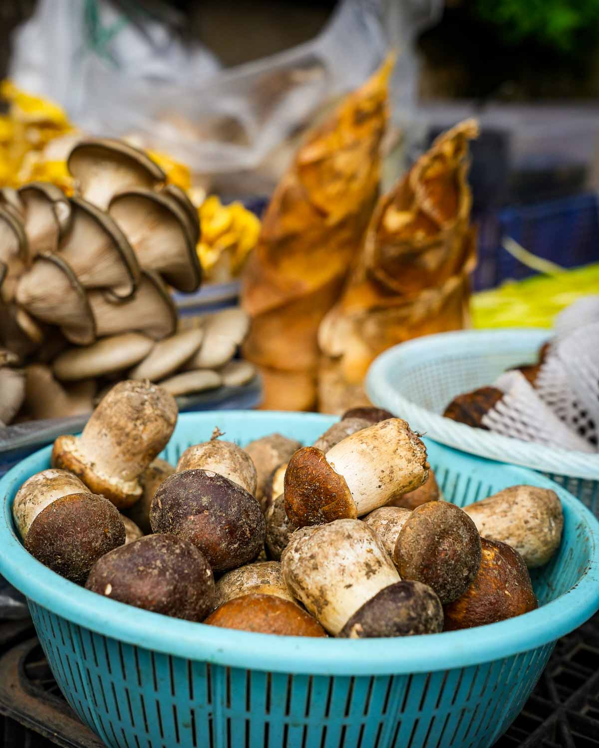 Yunnan Market Article-2