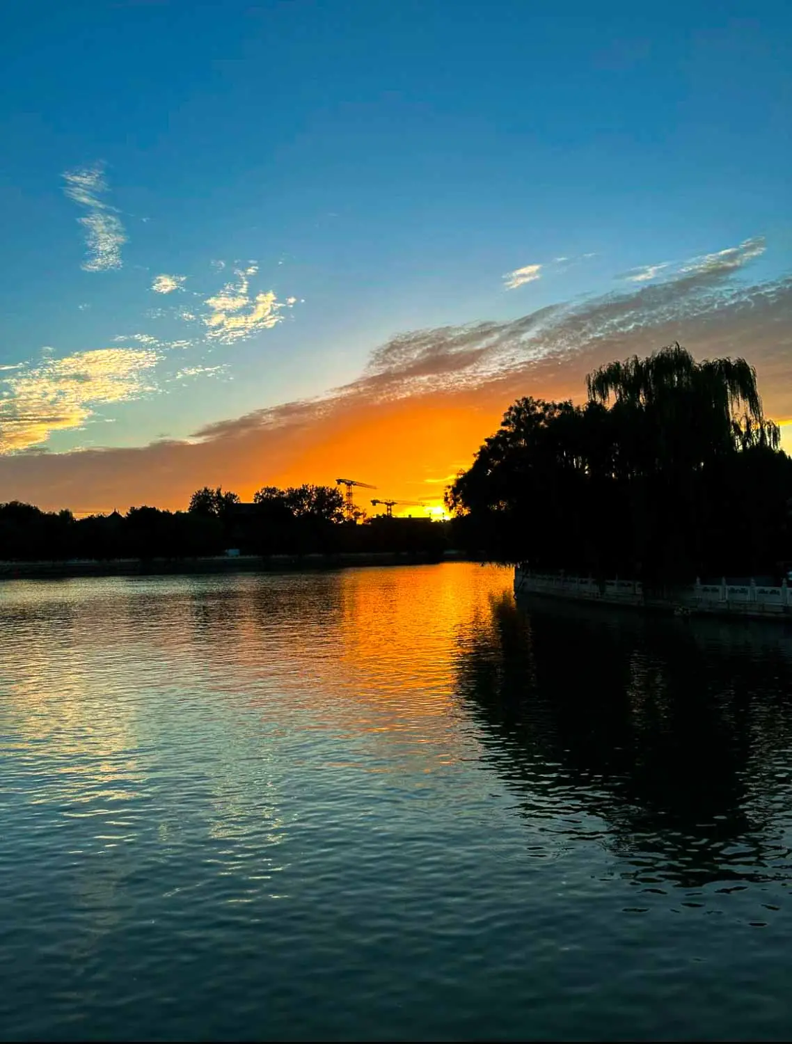 Beijing_Park_Article-13