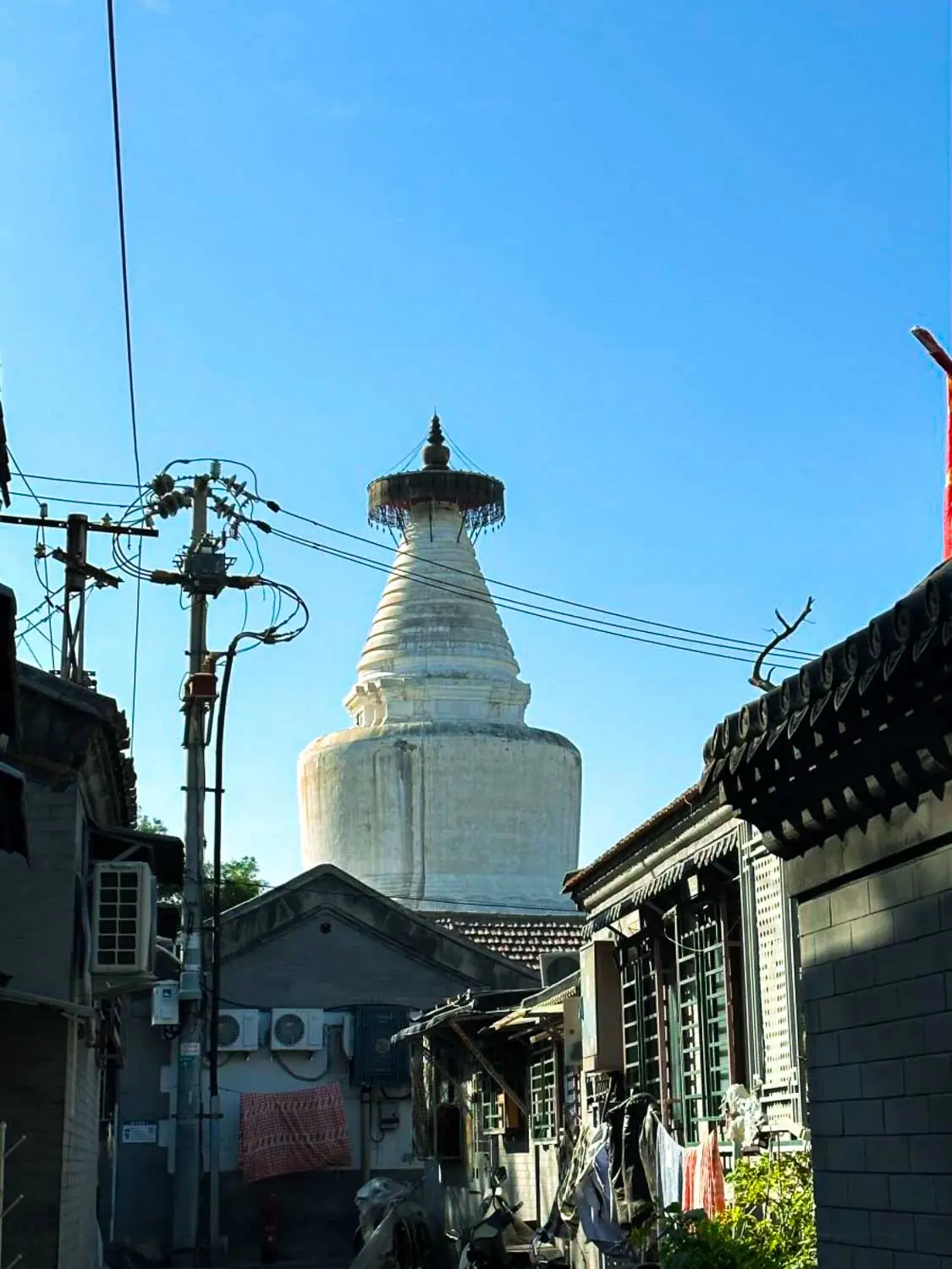 Beijing_Park_Article-5