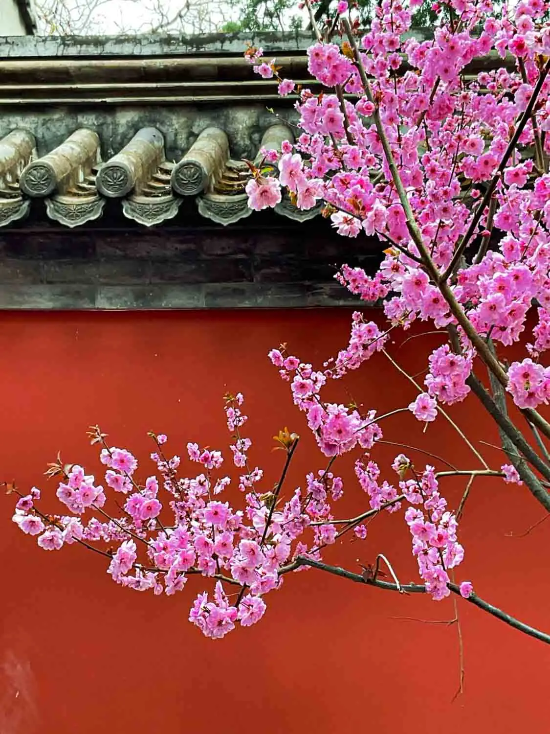 Beijing_Park_Article-8